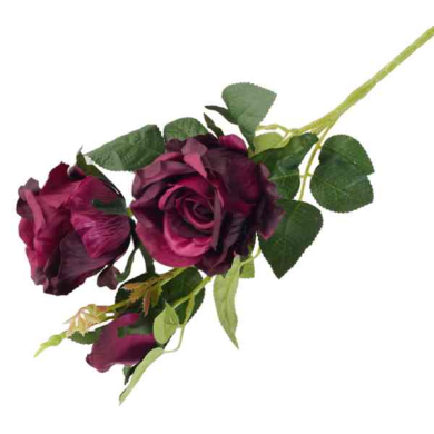 RÓŻA - Gałązka 2 kwiaty i pąk Purple Noir 63 cm